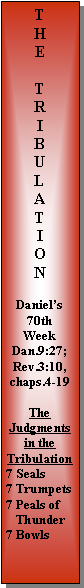 Text Box: THE TRIBULATIONDaniel�s 70th WeekDan.9:27; Rev.3:10, chaps.4-19TheJudgmentsin the Tribulation7 Seals7 Trumpets7 Peals of    Thunder 7 Bowls
