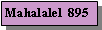 Text Box: Mahalalel  895