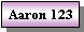 Text Box: Aaron 123