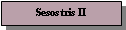 Text Box: Sesostris II