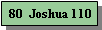 Text Box: 80  Joshua 110