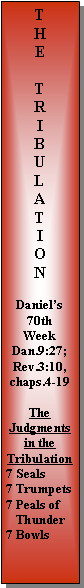 Text Box: THE TRIBULATIONDaniel’s 70th WeekDan.9:27; Rev.3:10, chaps.4-19TheJudgmentsin the Tribulation7 Seals7 Trumpets7 Peals of    Thunder 7 Bowls